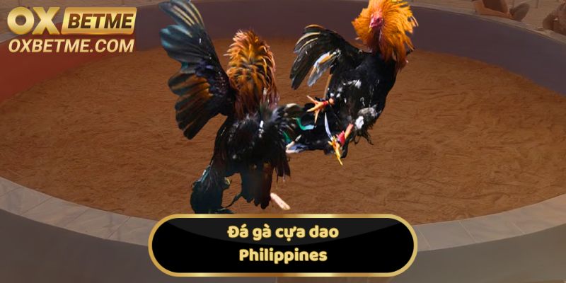 Đá gà cựa dao Philippines